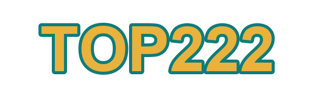 TOP222 logo